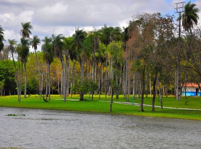 Parque da Lagoa Comprida - Aquidauana - Foto: JD Dervalho