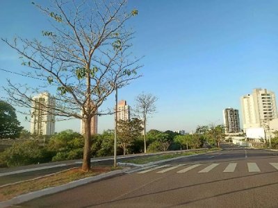 Cu azul na manh deste sbado na regio da Avenida Nely Martins. (Foto: Ksie Aino)