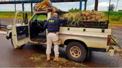 Veculo foi abordado no posto Capey. (Foto: Divulgao)