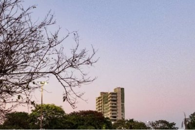 Galhos secos compem cenrio no amanhecer desta sexta-feira na Praa do Rdio na Avenida Afonso Pena (Foto: Henrique Kawaminami)