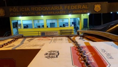 Carregamento apreendido pelos policiais. Foto: Divulgao