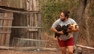 Mulher correu e conseguiu salvar as galinhas. Imagem: Silvio de Andrade