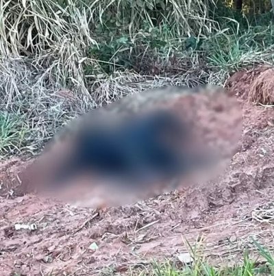 Mulher carbonizada encontrada em terreno na cidade de Trs Lagoas. (Foto: Rdio Caula)