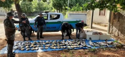 Mais de 100 peixes foram apreendidos pela PMA (Foto: Divulgao)