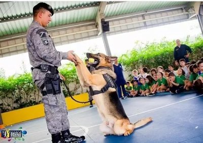 O farejador Lion, durante apresentao educativa em escola da Capital. (Foto: Reproduo/Instagram)