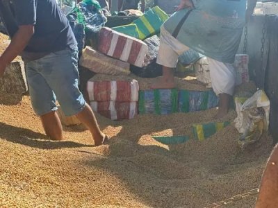 Fardos de maconha sendo retirados de carga de soja a granel (Foto: Divulgao/PF)