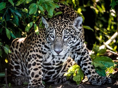 Foto Vinicius Eduardo