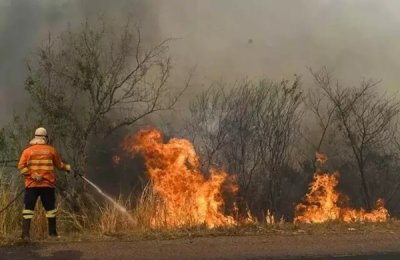 Combate ao fogo na BR - 262, durante perodo crtico de queimadas em 2024. (Foto: Bruno Rezende)