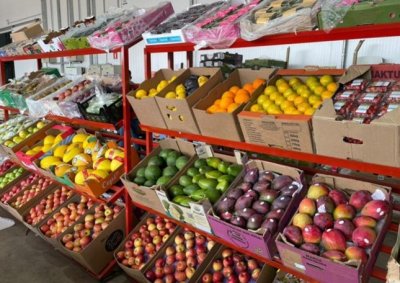 Frutas, verduras e sucesso: a Ceasa de MS que impulsiona negcios