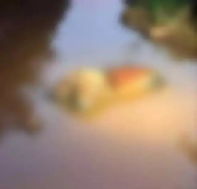 Cadver em decomposio foi encontrado em crrego da Thyrson de Almeida. (Foto: Direto das Ruas)