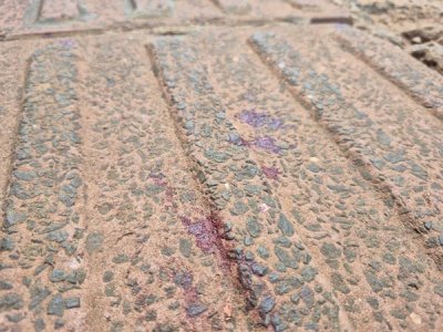 Sangue das v�timas no local do crime. (Foto: Marcos Maluf)