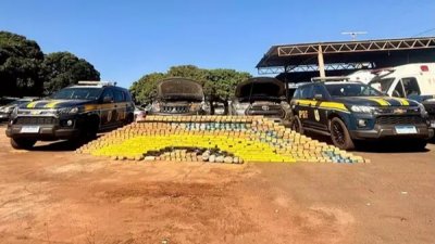 Quase 600 quilos de coca�na foram apreendidos pela PRF durante fiscaliza��o na BR-060 (Foto: Divulga��o / PRF)