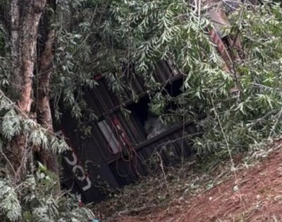 Carreta ca�da na ribanceira com gado preso (Foto: BNC Not�cias)