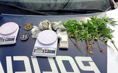 Suspeito de plantar maconha em terreno perto do trabalho � preso pela PM